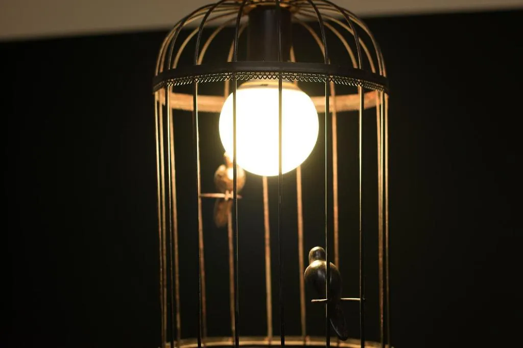 Bird House Hostel Barcelona Spain